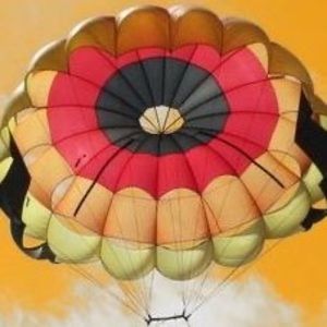 Meet your Posher, Barbara drew